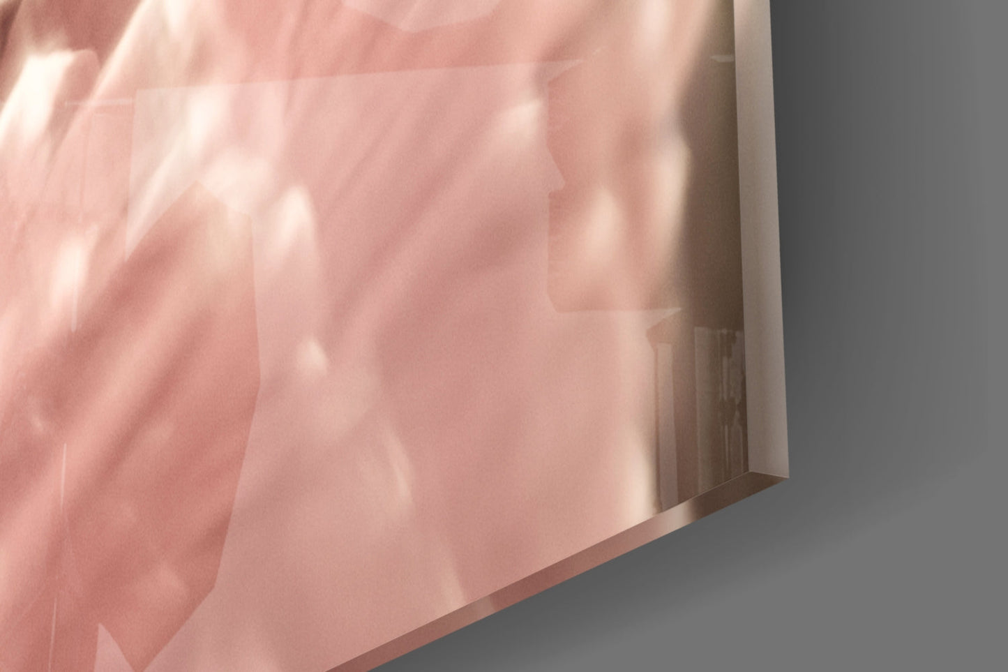 Blush Gerbera Daisy Macro Glass Wall Art