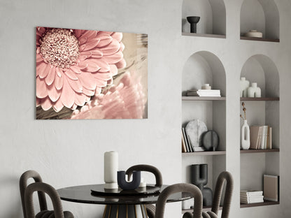 Blush Gerbera Daisy Macro Glass Wall Art