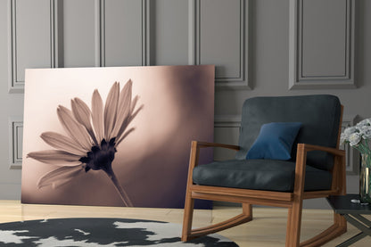 Sepia Backlit Daisy Silhouette Glass Wall Art