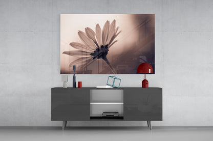 Sepia Backlit Daisy Silhouette Glass Wall Art