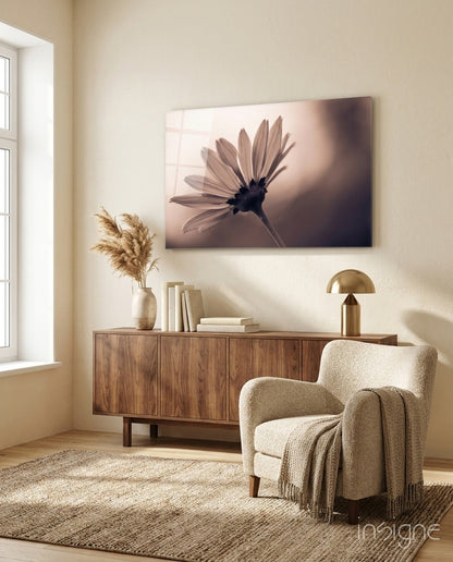 Sepia Backlit Daisy Silhouette Glass Wall Art