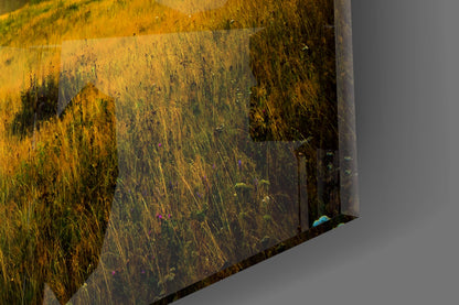 Golden Sunset Meadow Misty Mountains Glass Wall Art