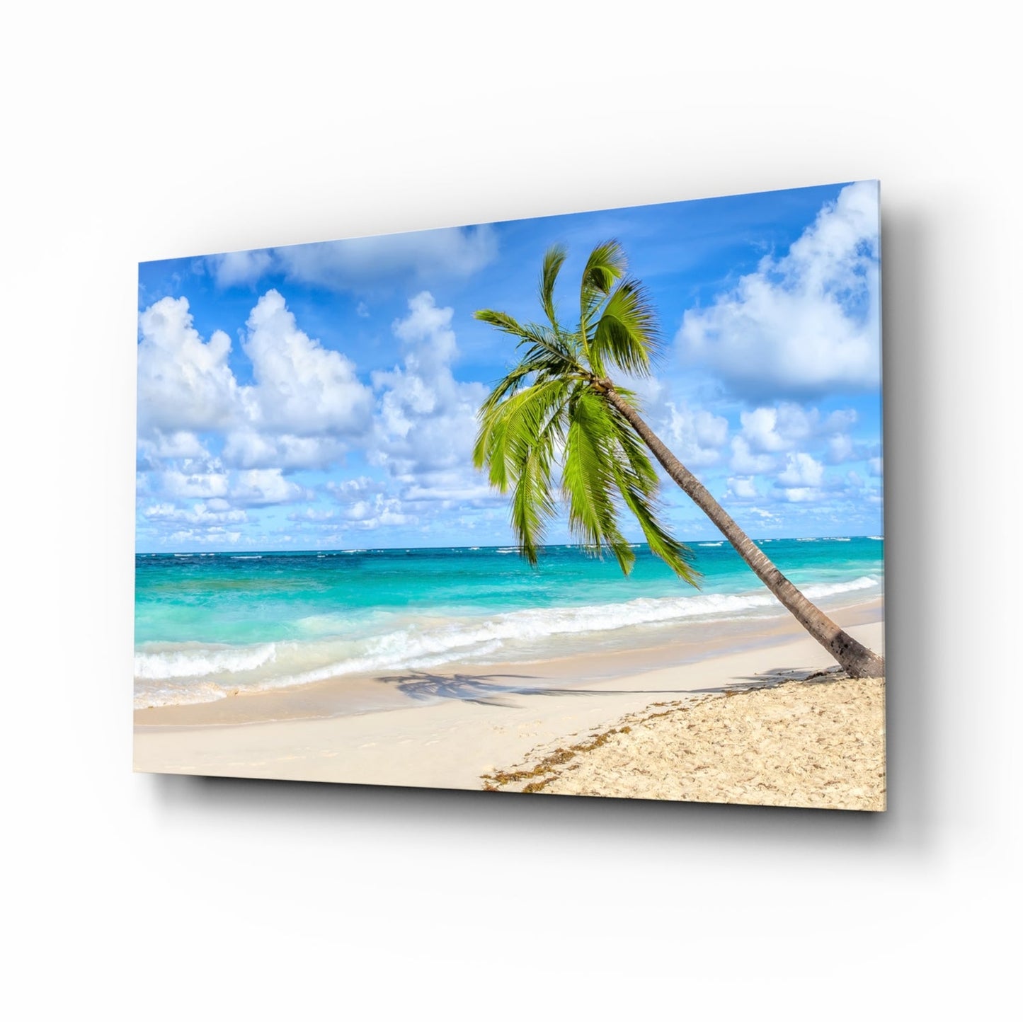 Glass wall art displaying a tropical beach scene with a palm tree leaning over turquoise water and white sand.
