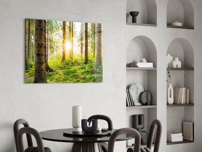 Sunrays Through Forest Trees Glass Wall Art