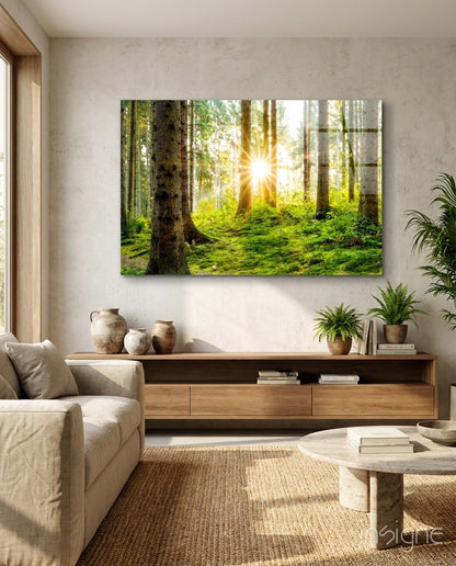 Sunrays Through Forest Trees Glass Wall Art
