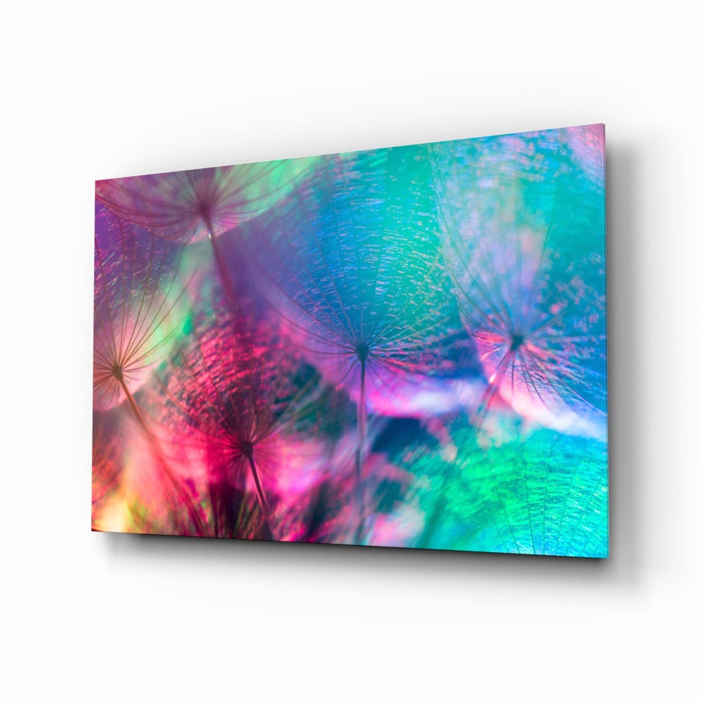 Vivid Dandelion Bokeh Abstract Glass Wall Art