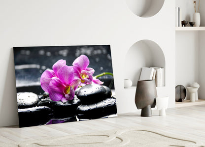 Magenta Orchid Pair Black Stones Glass Wall Art