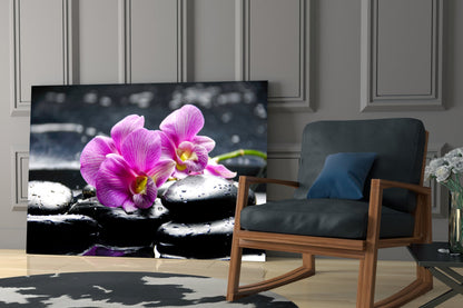 Magenta Orchid Pair Black Stones Glass Wall Art