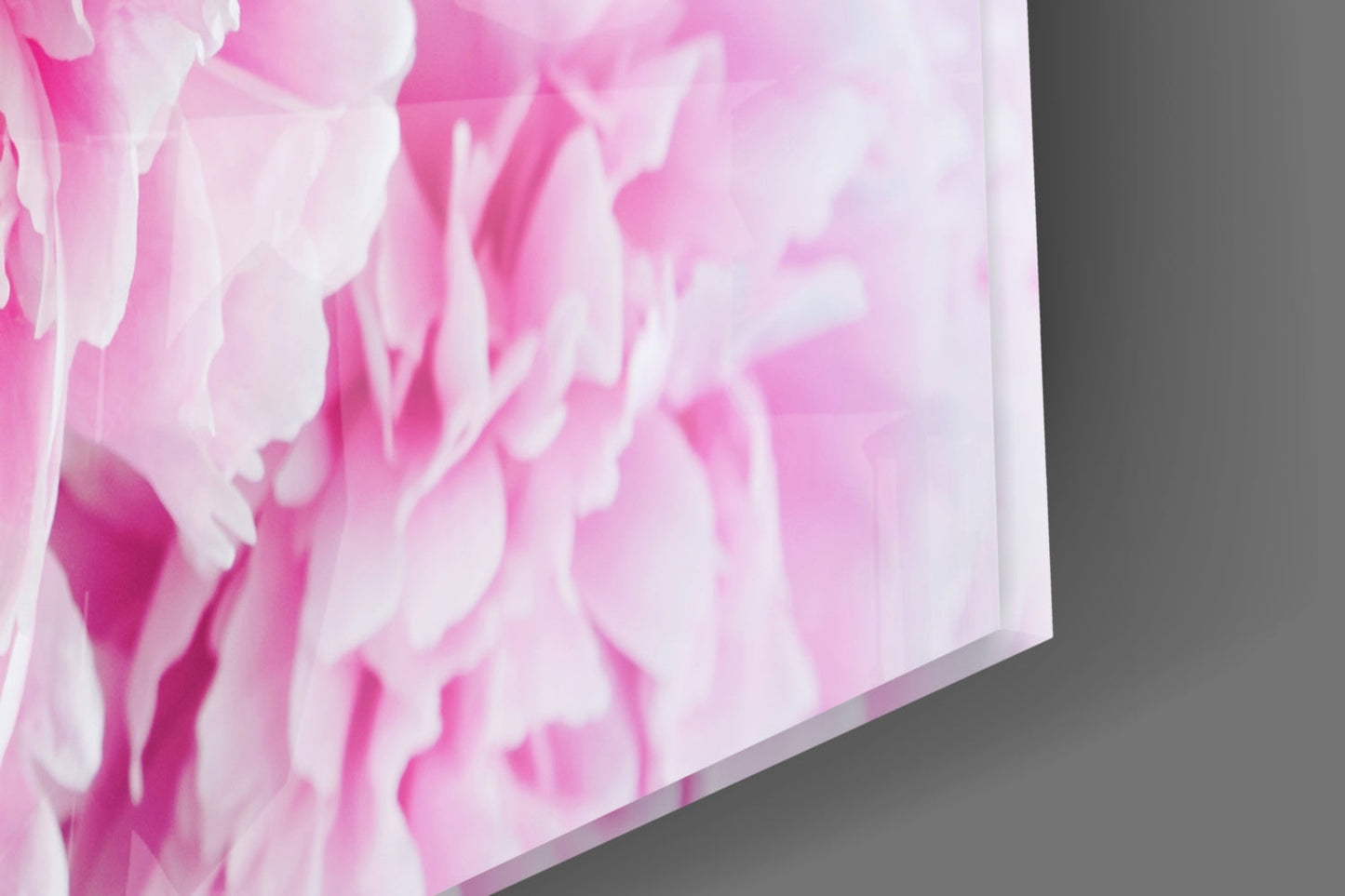 Pink Peony Bunch Teal Glass Wall Art