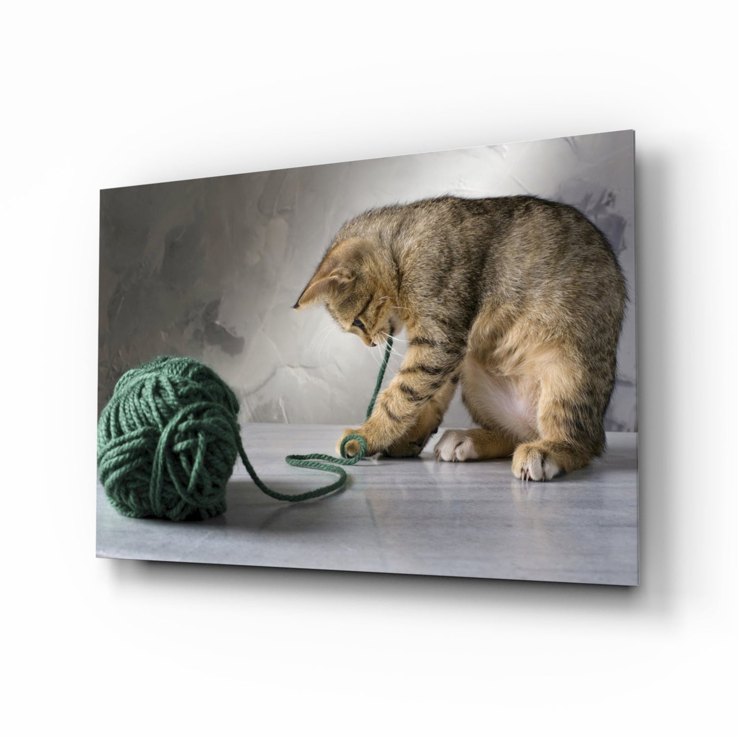 Tabby Kitten Green Yarn Glass Wall Art