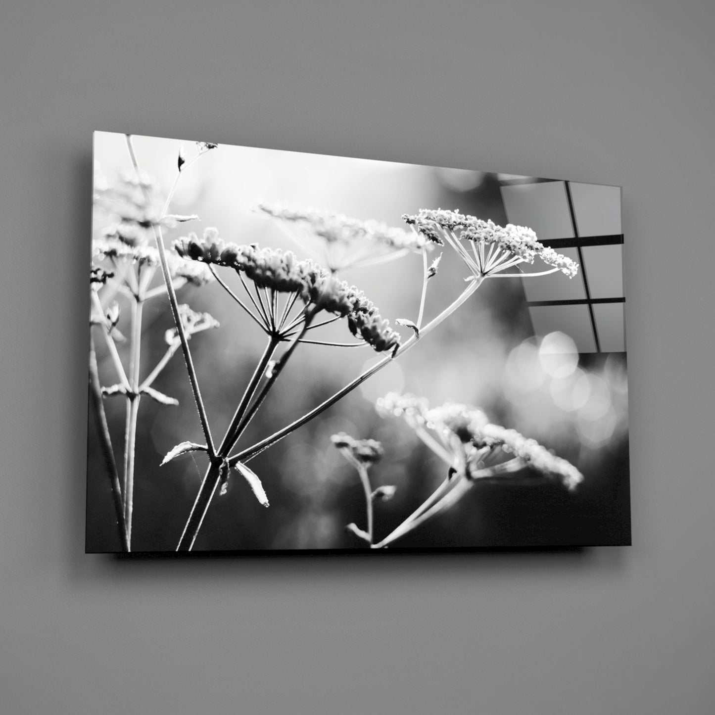 Frosted Wildflower Umbels Glass Wall Art