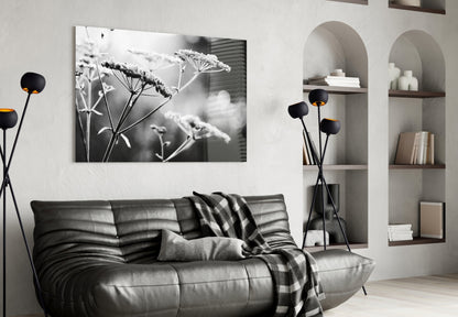 Frosted Wildflower Umbels Glass Wall Art