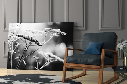 Frosted Wildflower Umbels Glass Wall Art