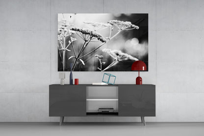 Frosted Wildflower Umbels Glass Wall Art