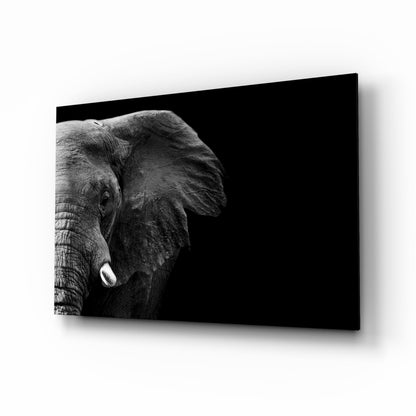 Dramatic Black Background Elephant Glass Wall Art