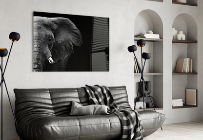 Dramatic Black Background Elephant Glass Wall Art