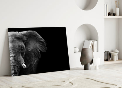 Dramatic Black Background Elephant Glass Wall Art
