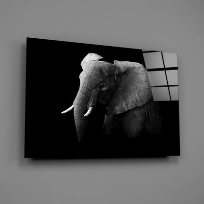 Ear Detail Black and White Elephant Glass Wall Art