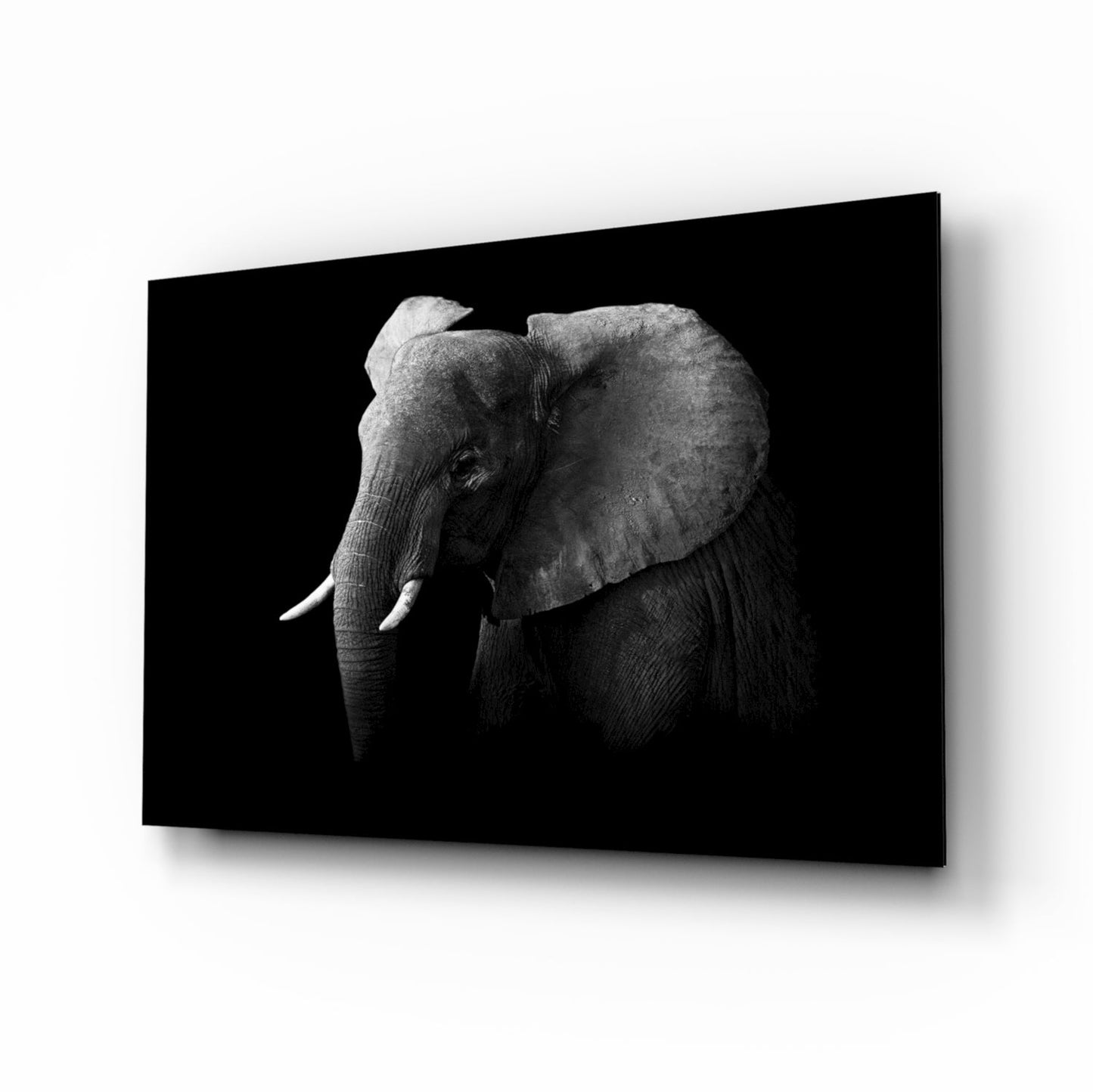Ear Detail Black and White Elephant Glass Wall Art