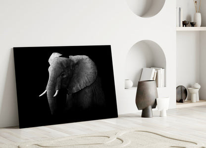 Ear Detail Black and White Elephant Glass Wall Art