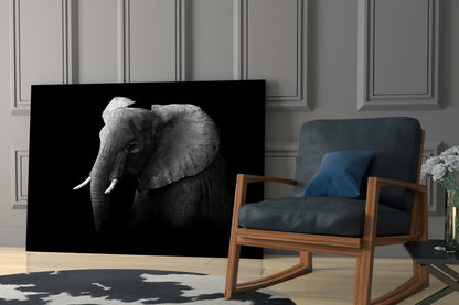 Ear Detail Black and White Elephant Glass Wall Art