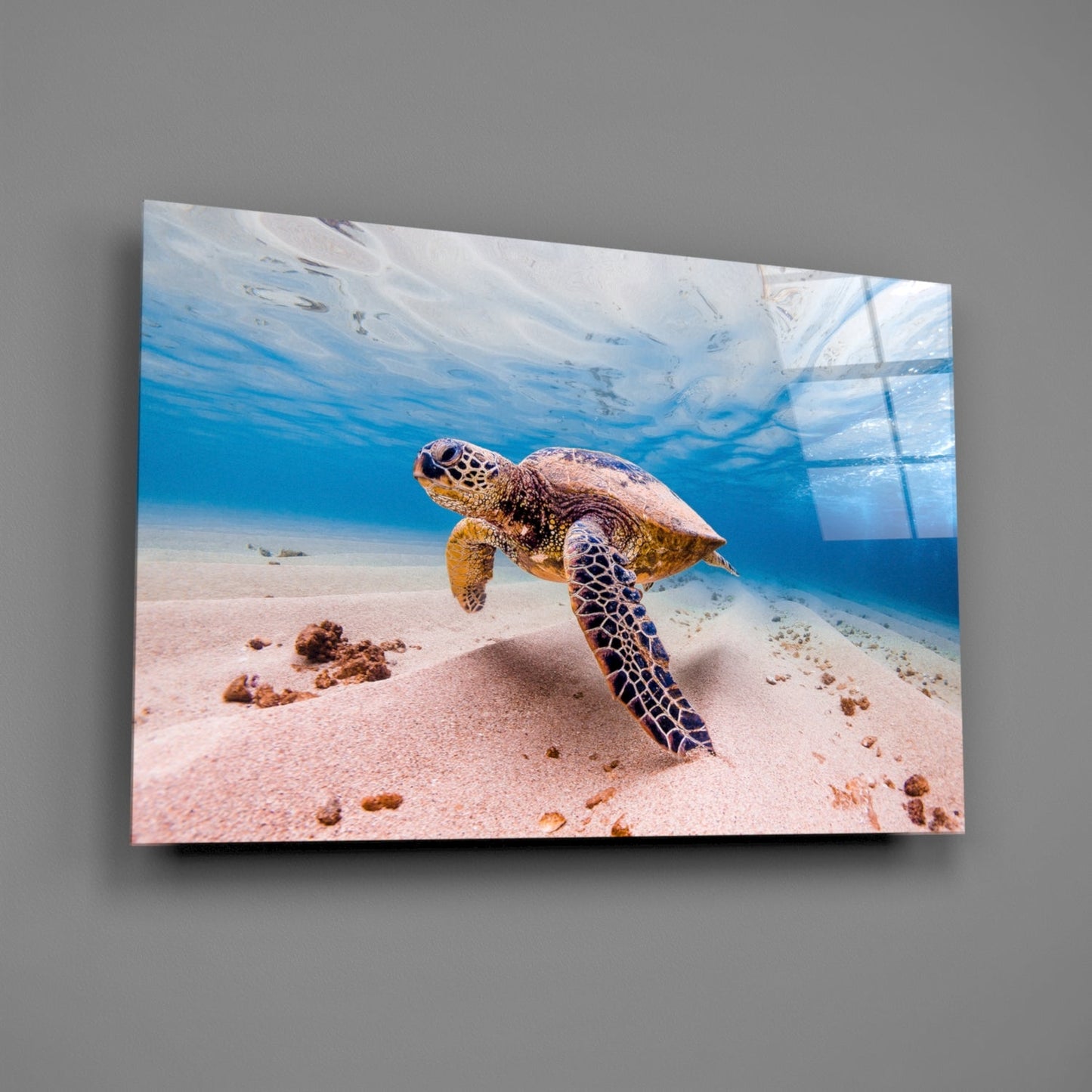 Sea Turtle Gliding Over White Sand Glass Wall Art