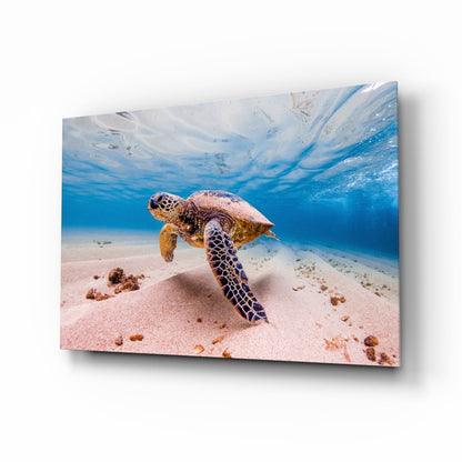 Sea Turtle Gliding Over White Sand Glass Wall Art