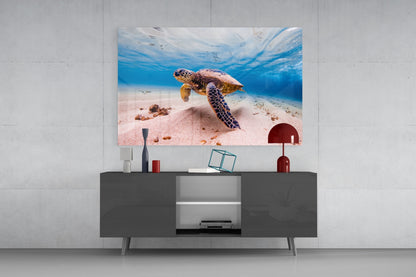 Sea Turtle Gliding Over White Sand Glass Wall Art