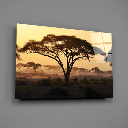 Acacia Tree Savanna Golden Sunset Glass Wall Art