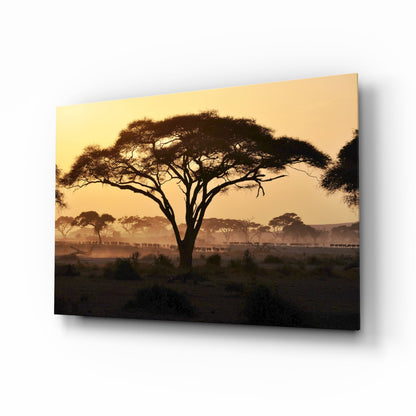 Acacia Tree Savanna Golden Sunset Glass Wall Art