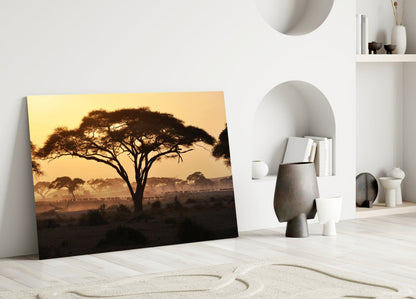 Acacia Tree Savanna Golden Sunset Glass Wall Art