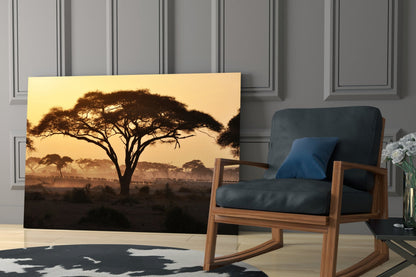Acacia Tree Savanna Golden Sunset Glass Wall Art
