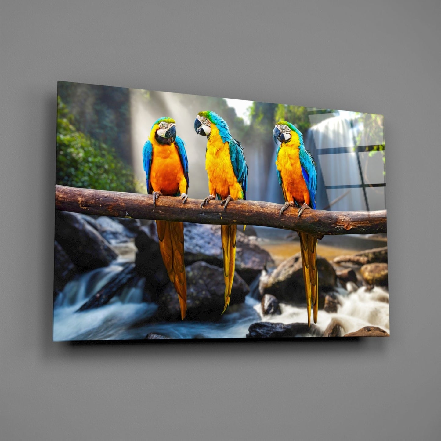 Three blue and yellow macaws perched on a branch above a waterfall, displayed as framed glass wall art.