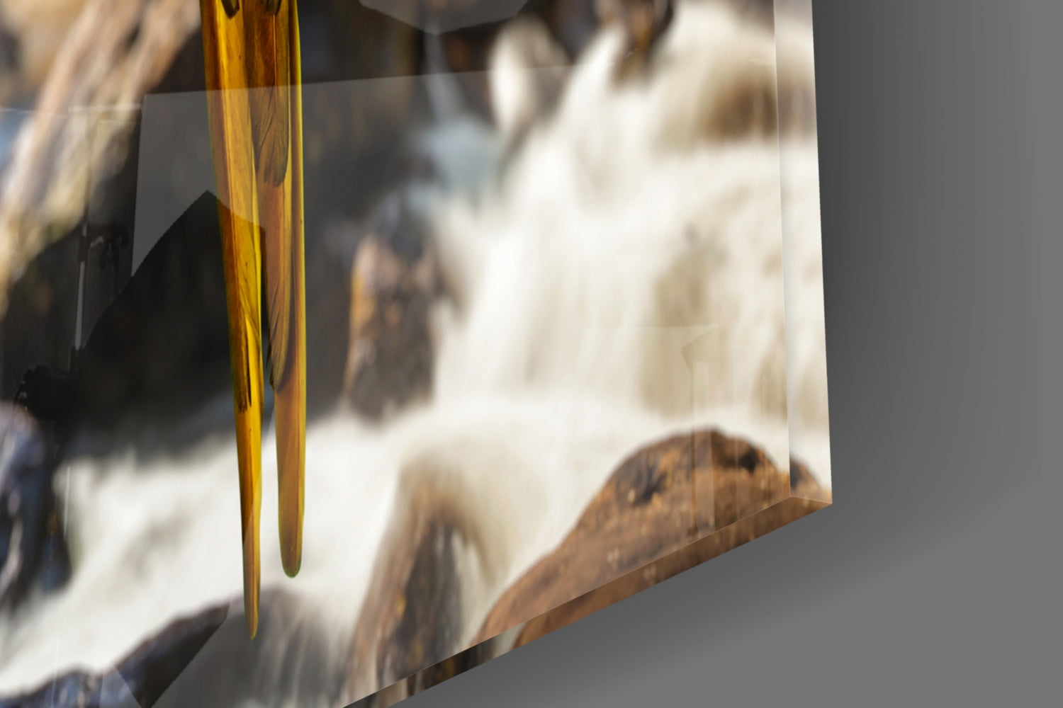 Close-up of paintbrushes against blurred parrot artwork on glass, showing golden brush bristles and feather details.