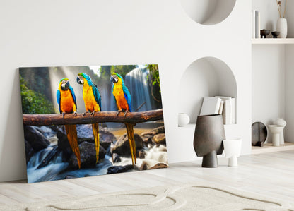 Glass wall art featuring three blue and yellow macaws perched on a branch above a waterfall, displayed leaning against a white wall in a minimalist interior setting.