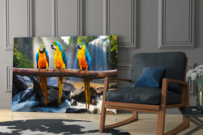 Three colorful blue and yellow macaws perched on a branch with waterfall background displayed as glass wall art in modern living room setting.