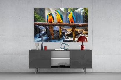 Glass wall art displaying three blue and yellow macaws perched on a branch above a waterfall, mounted above a dark gray media console.