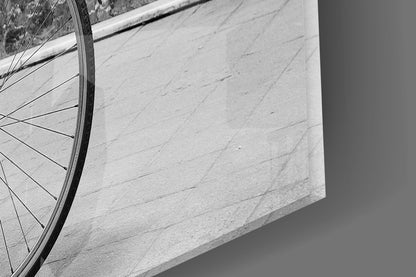 Red Flower Basket Bicycle Shopfront Glass Wall Art
