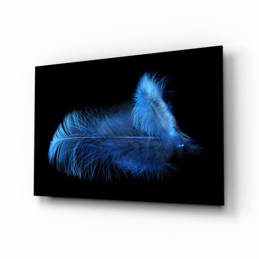 Blue feathered form displayed on black glass panel, mounted at an angle showing dimensional depth and shadow effect.