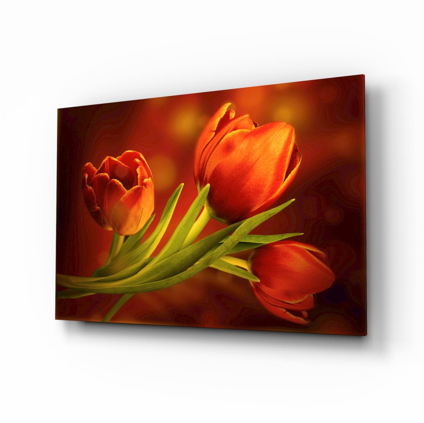 Orange Tulip Trio Amber Glass Wall Art