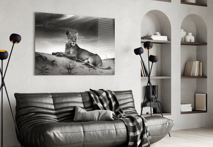 Black And White Lioness On Dune Glass Wall Art