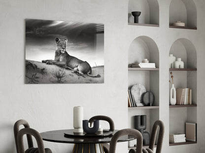 Black And White Lioness On Dune Glass Wall Art