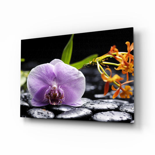 Purple orchid resting on wet black stones with orange flowers and green leaves blurred in background on glass wall art.