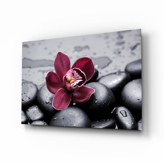 Deep burgundy orchid flower with yellow center resting on wet black pebbles, displayed as angled glass wall art.