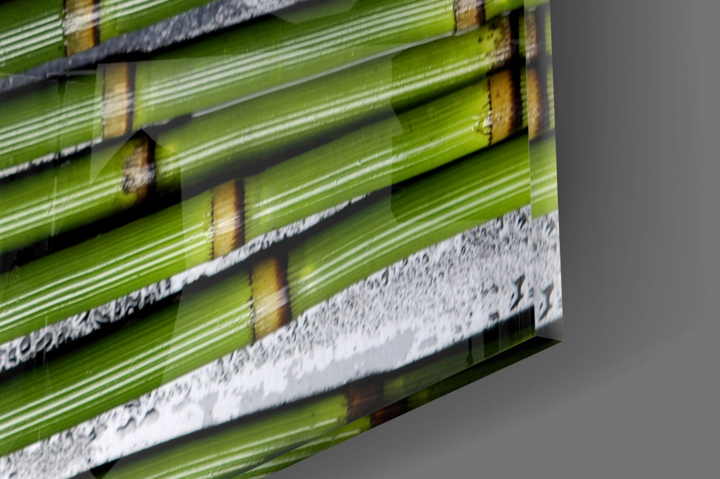 Burgundy Orchid Bamboo Stalks Glass Wall Art