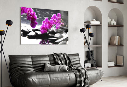Pink Orchid Branch Zen Stones Glass Wall Art