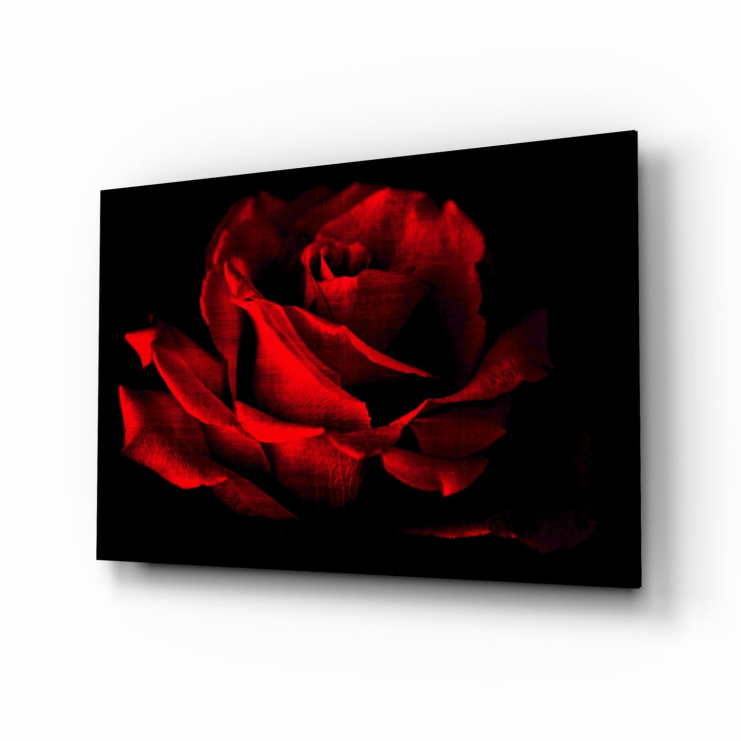 Glowing Red Rose Close Up Glass Wall Art