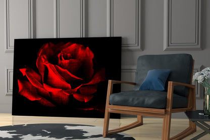 Glowing Red Rose Close Up Glass Wall Art