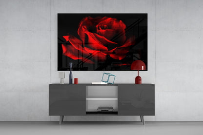 Glowing Red Rose Close Up Glass Wall Art