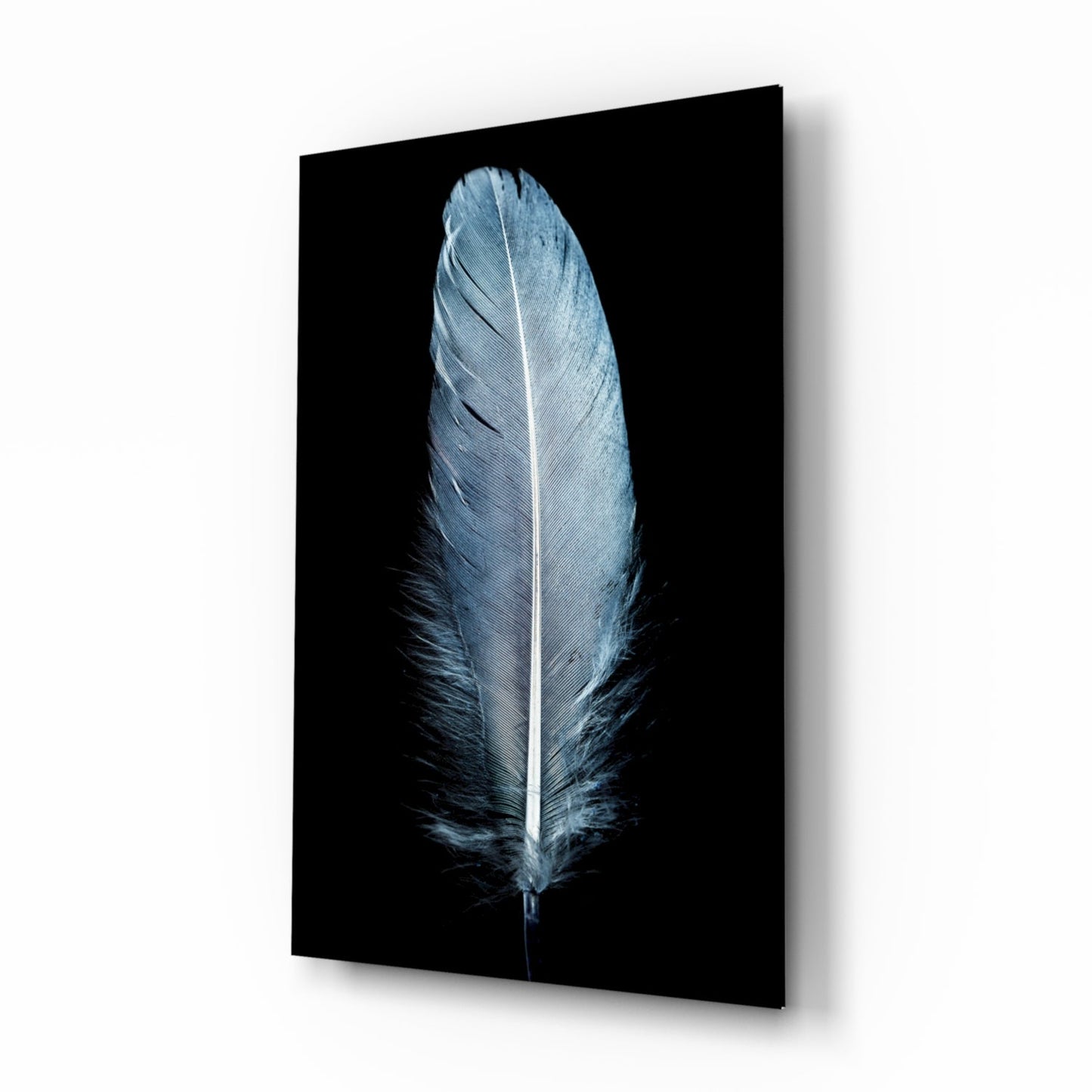 Single Blue Gray Quill Feather Glass Wall Art